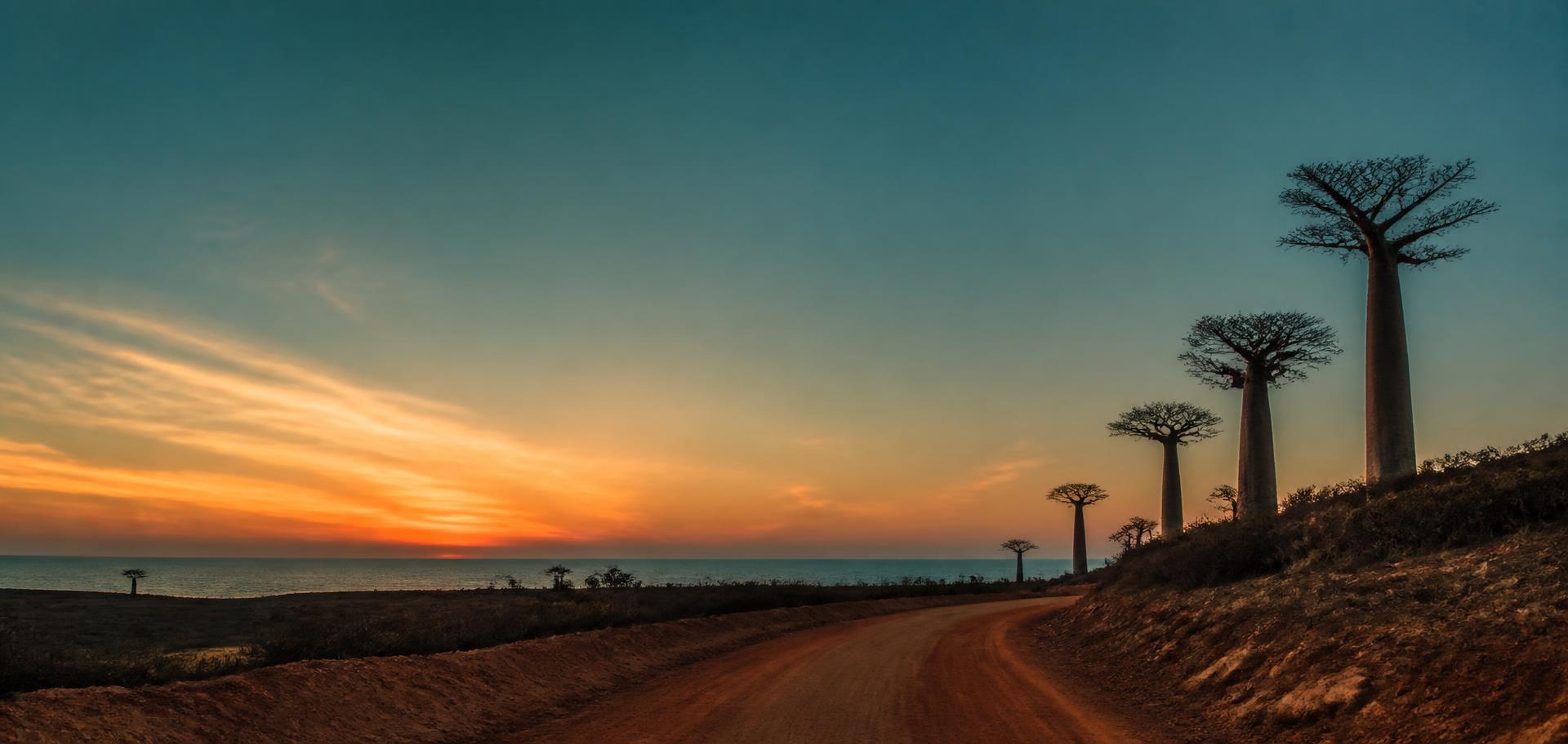 Red-earth road curving towards the ocean past baobabs at dusk in southwest Madagascar