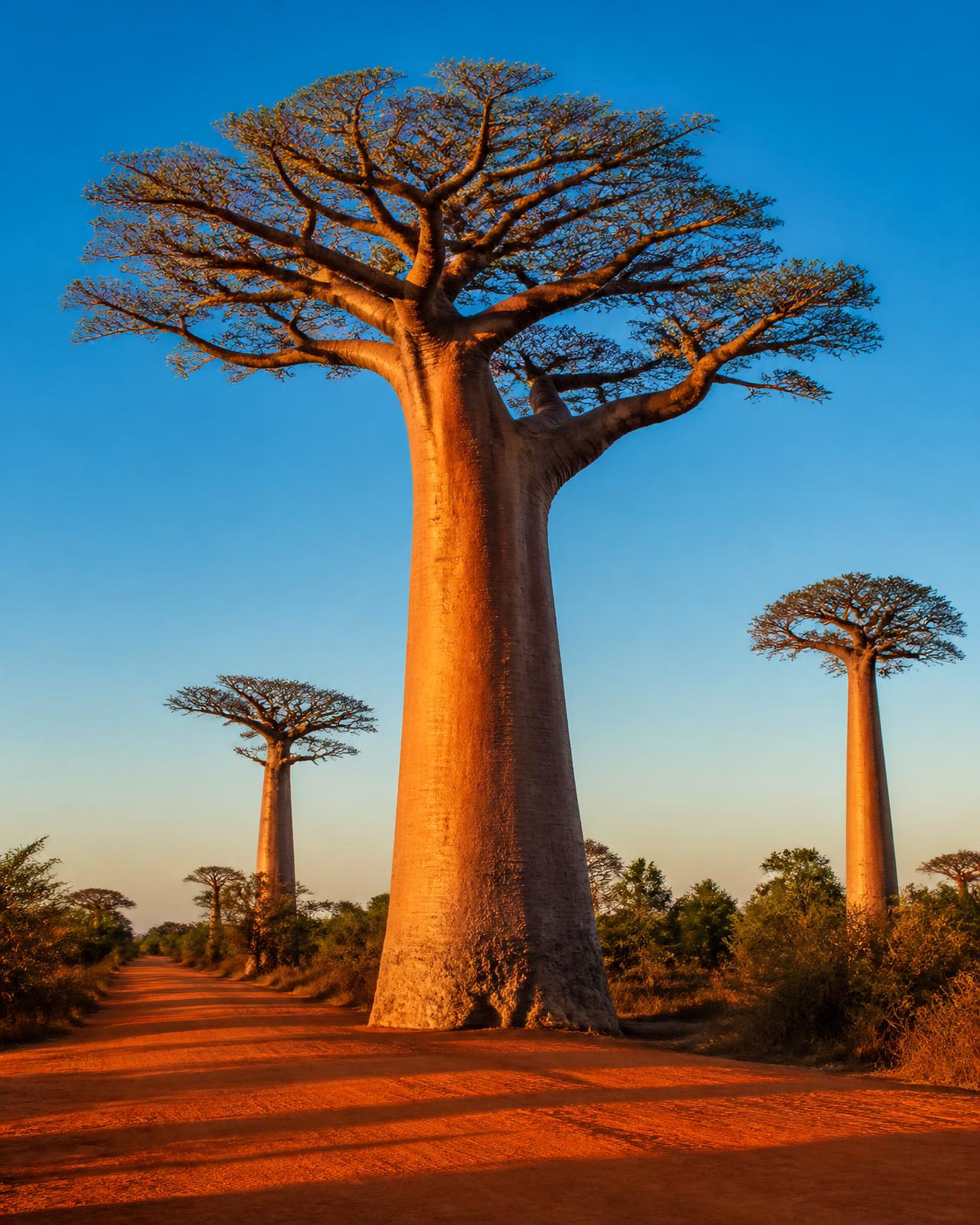 Tailor-Made Self-Drive Holidays