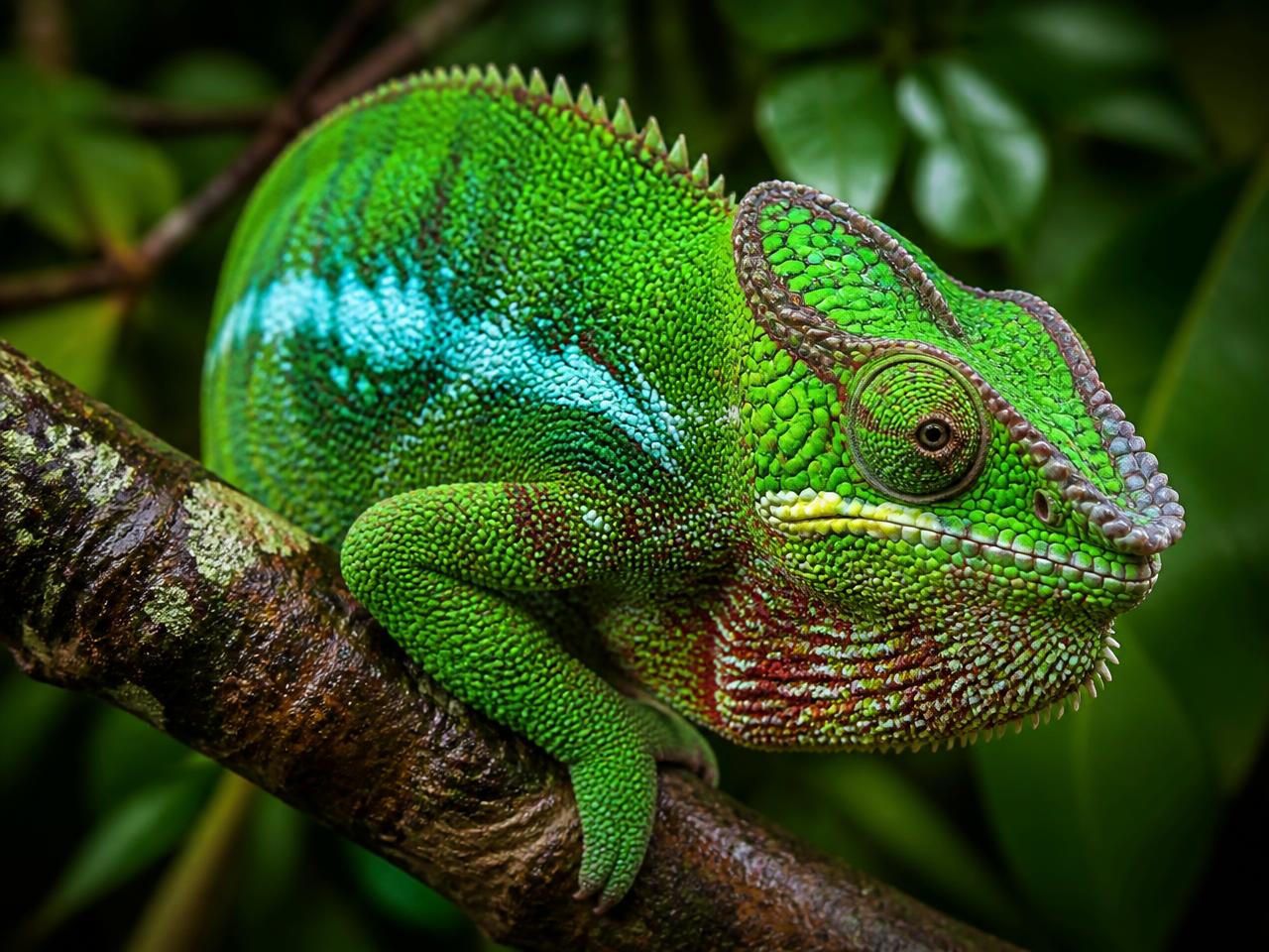 Madagascar self-drive